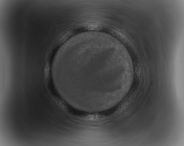 X0000087580744200705251841