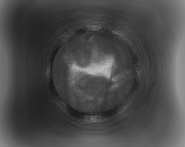 X0000087580745200705251841