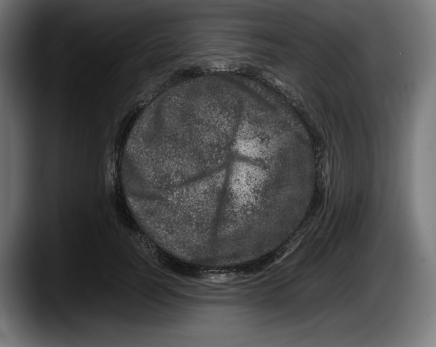X0000087580746200705251841