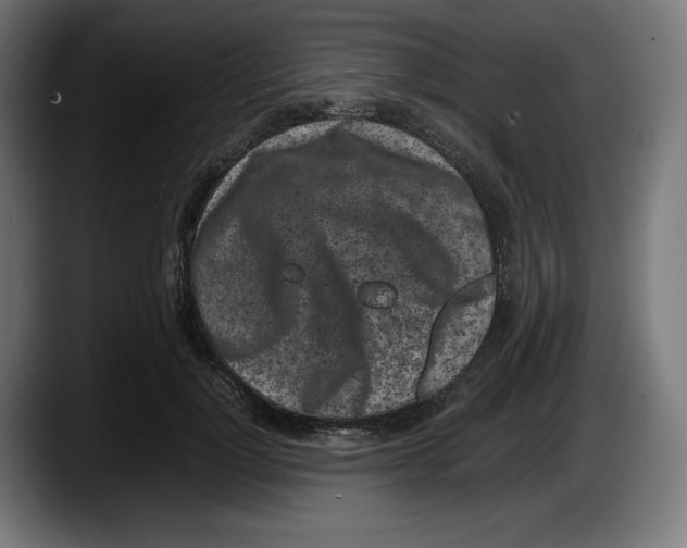 X0000087580748200705251841