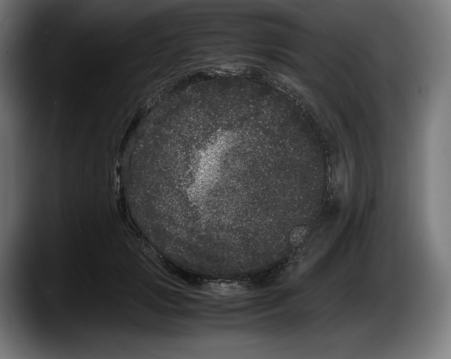 X0000087580749200705251841