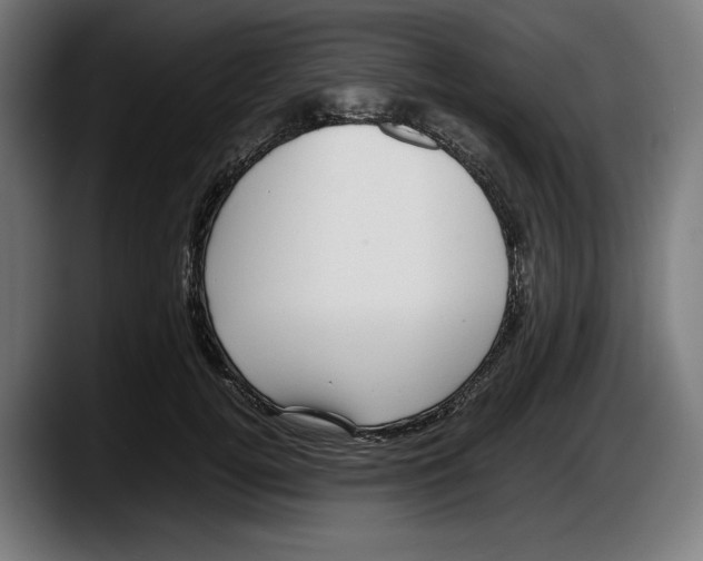 X0000087580752200705251841