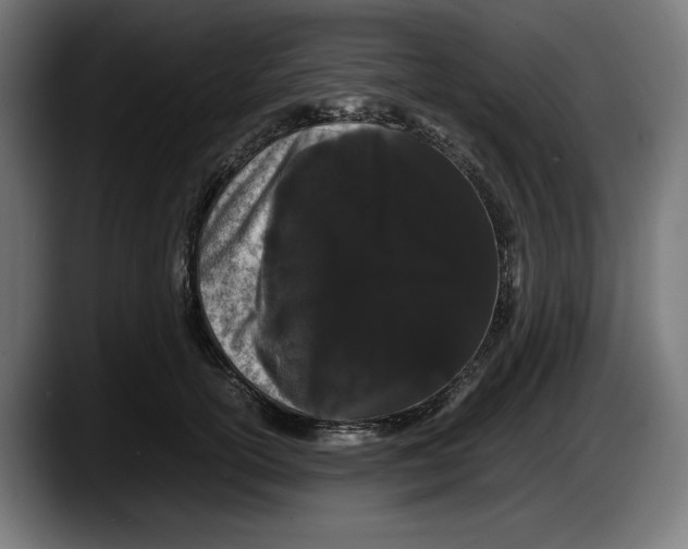 X0000087580754200705251841