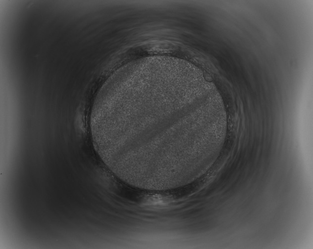 X0000087580755200705251841