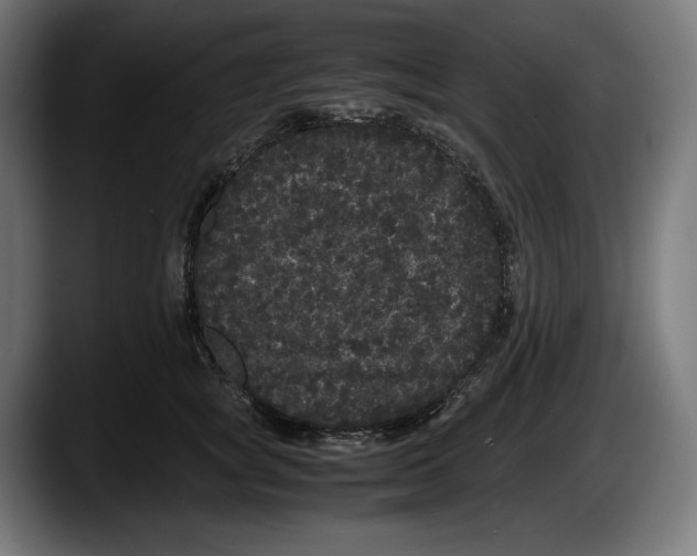X0000087580757200705251841