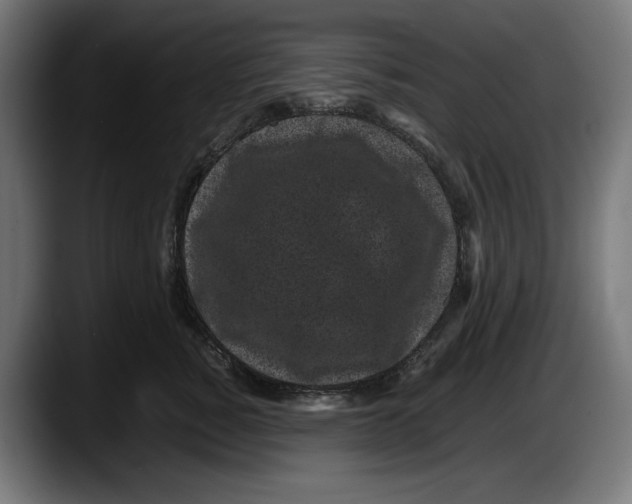 X0000087580760200705251841
