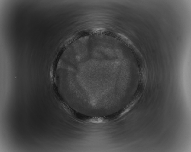 X0000087580762200705251841