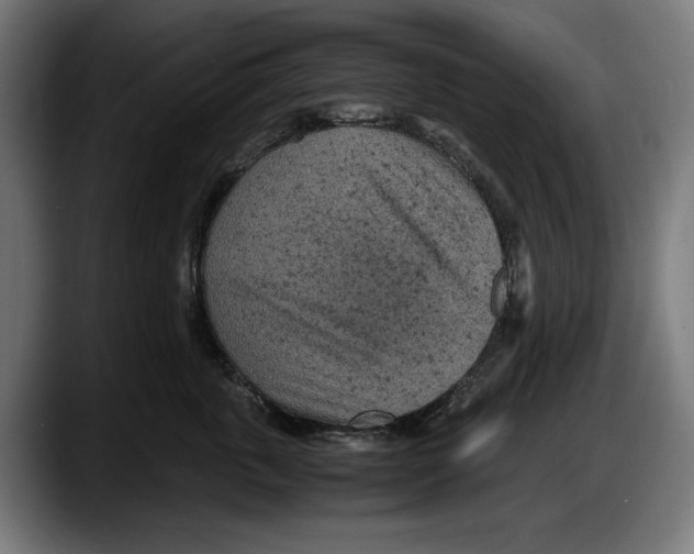 X0000087580763200705251841
