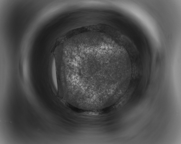 X0000087580765200705251841