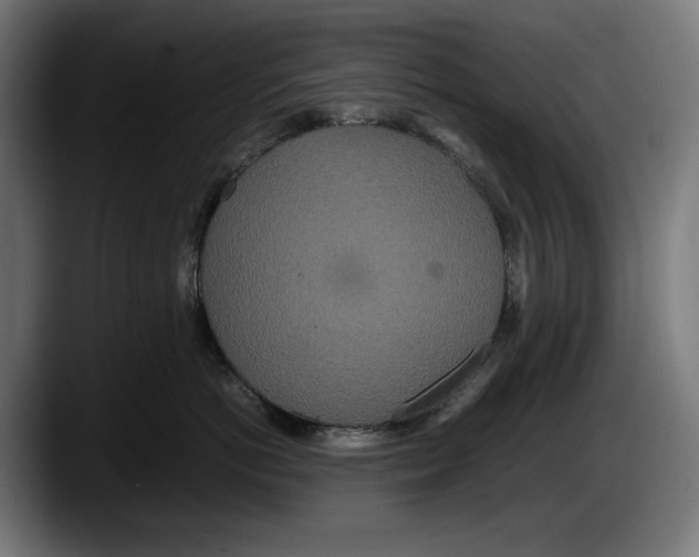X0000087580766200705251841