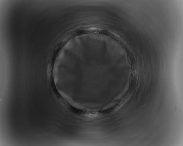 X0000087580767200705251841