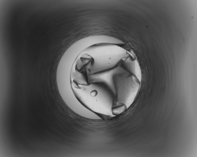 X0000087580768200705251841