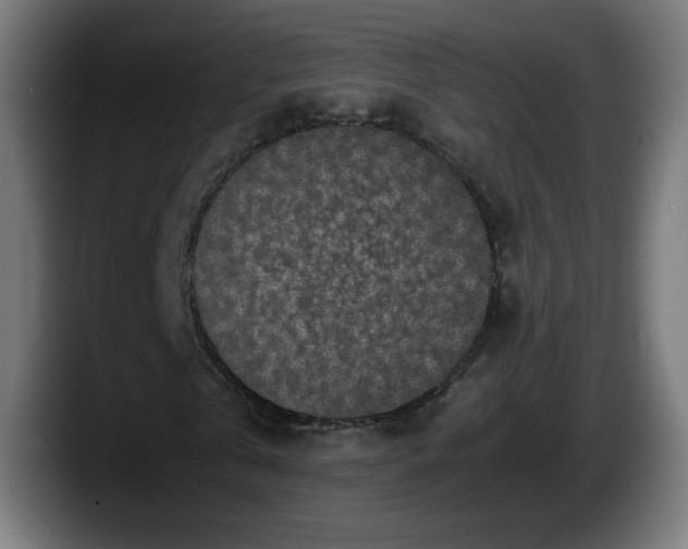 X0000087580769200705251840