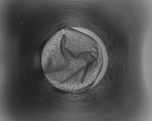 X0000087580772200705251840