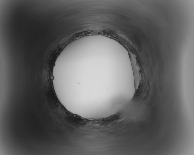 X0000087580773200705251840
