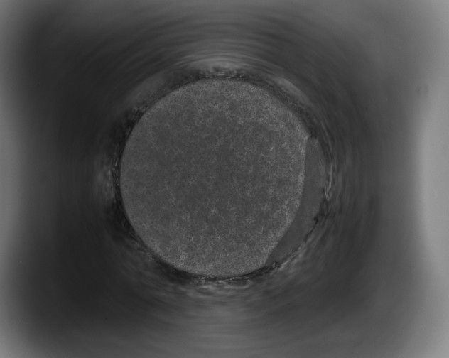 X0000087580774200705251840