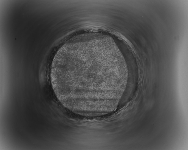 X0000087580775200705251840