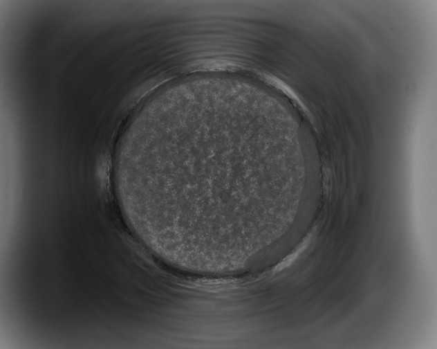 X0000087580778200705251840