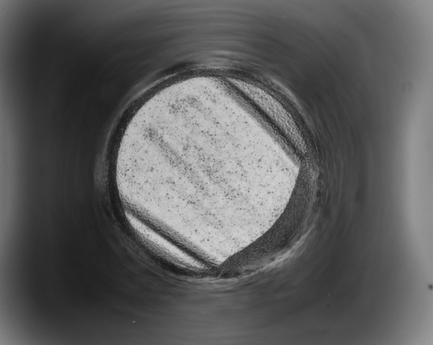 X0000087580779200705251840