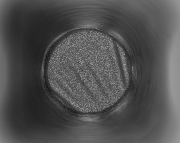 X0000087580780200705251840