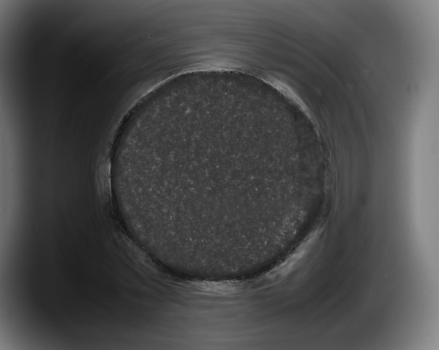 X0000087580781200705251840