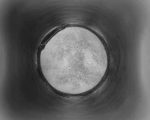X0000087580782200705251840