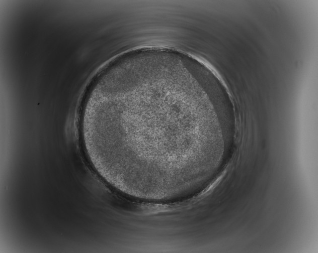 X0000087580783200705251840