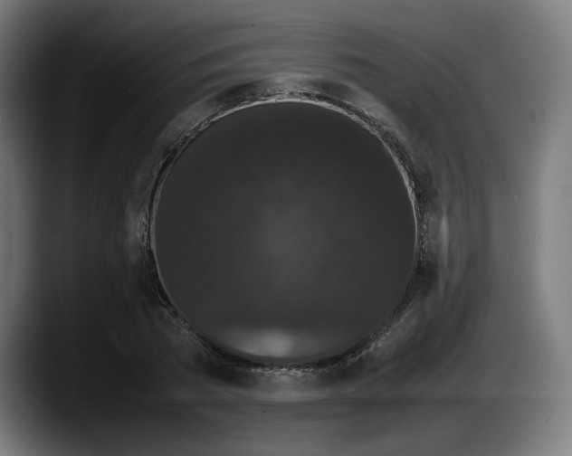 X0000087580785200705251840