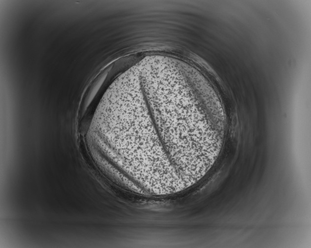 X0000087580786200705251840