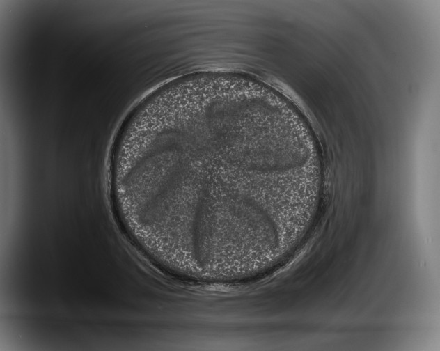 X0000087580787200705251840
