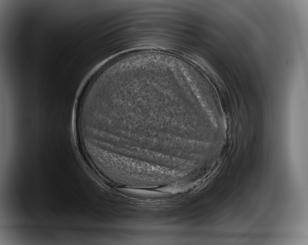 X0000087580788200705251840