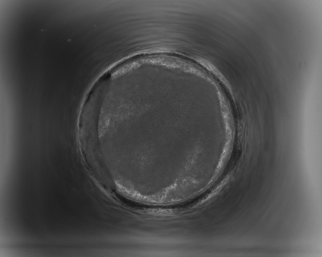 X0000087580789200705251840