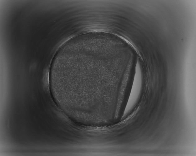 X0000087580790200705251840