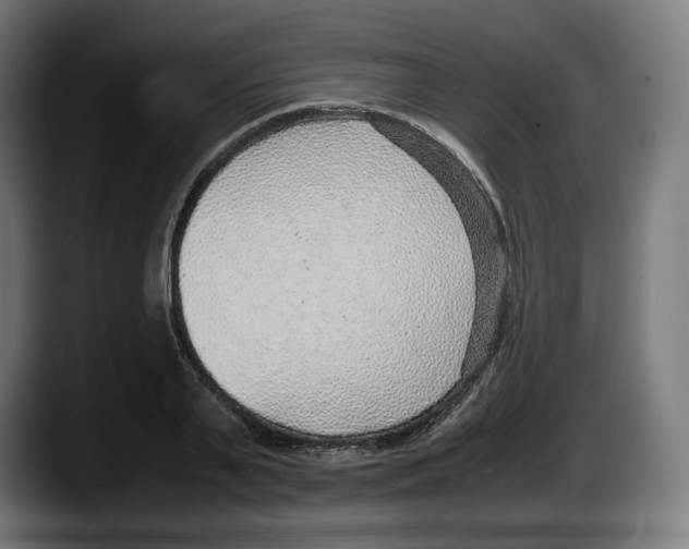 X0000087580791200705251840