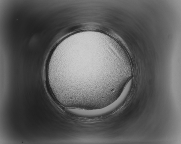 X0000087580795200705251840