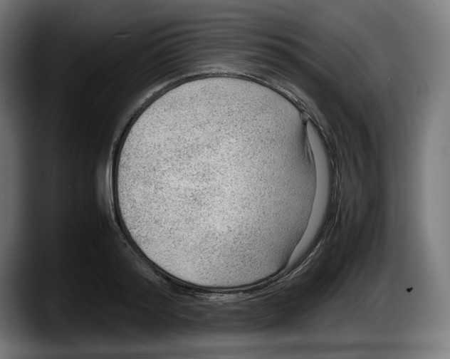 X0000087580796200705251840