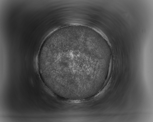 X0000087580798200705251840
