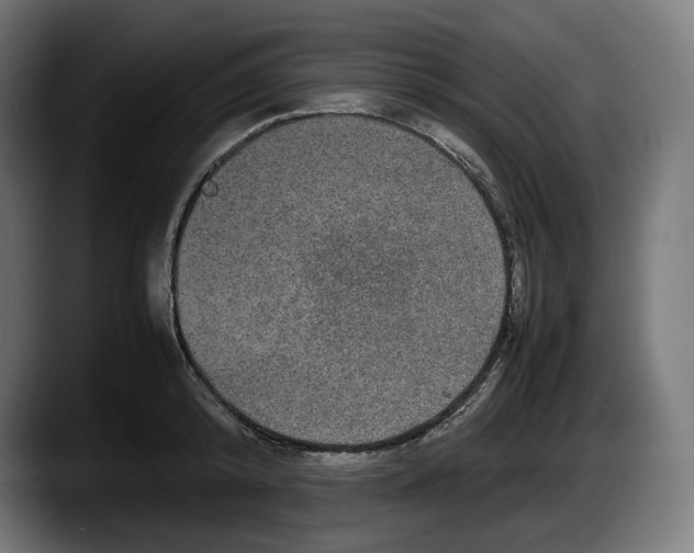 X0000087580800200705251840