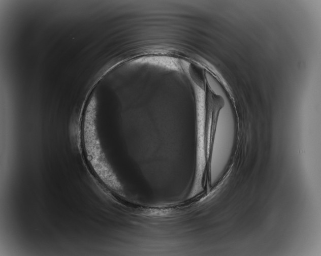 X0000087580802200705251840