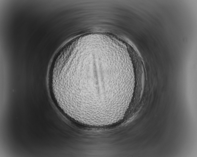 X0000087580803200705251840