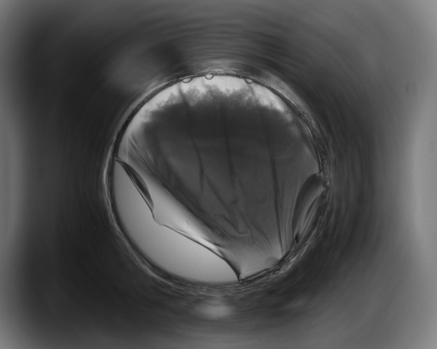X0000087580806200705251840