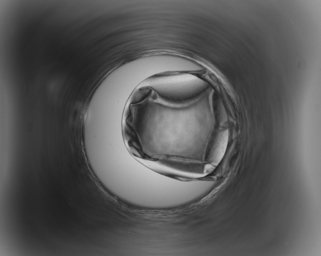 X0000087580809200705251840