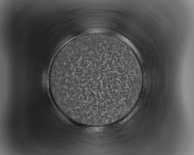 X0000087580810200705251840