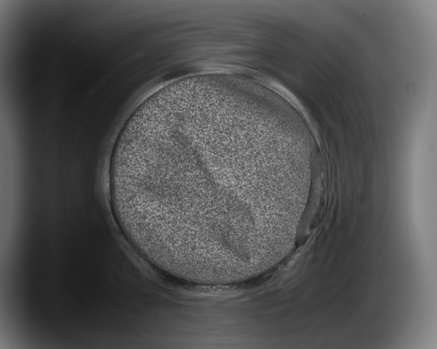 X0000087580811200705251840