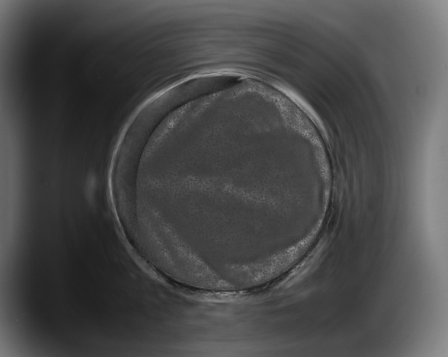 X0000087580813200705251840