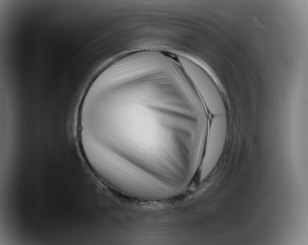 X0000087580815200705251840