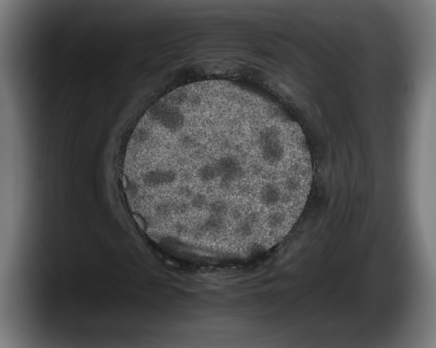 X0000087580817200705251839