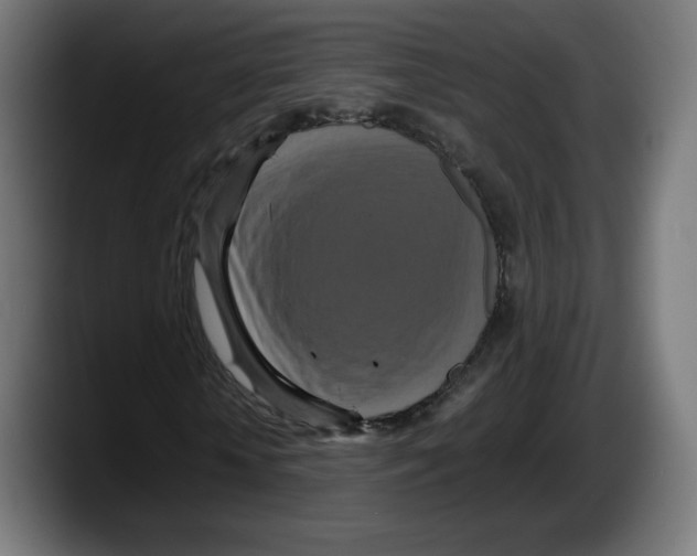 X0000087580818200705251839