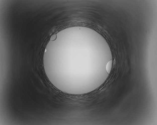 X0000087580820200705251839