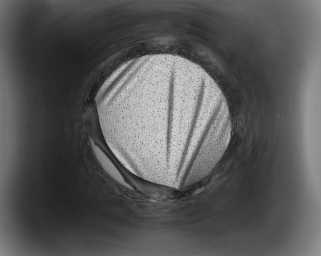 X0000087580821200705251839